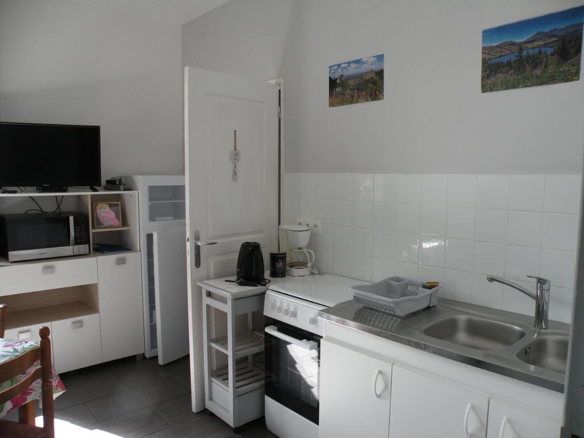 Rose, 4 Pers. Villa Saint Antoine, Orcival, Sancy Ngoại thất bức ảnh